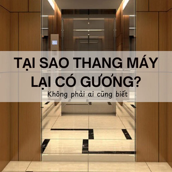 Tại Sao Thang Máy Có Gương? - Điều Đặc Biệt Không Phải Ai Cũng Biết