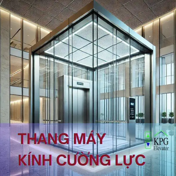 1 Thang Máy Kính Cường Lực – 5 Sao Tiện Nghi, 10 Điểm Thẩm Mỹ