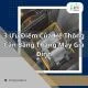 3-uu-diem-cua-he-thong-can-bang-thang-may-gia-dinh